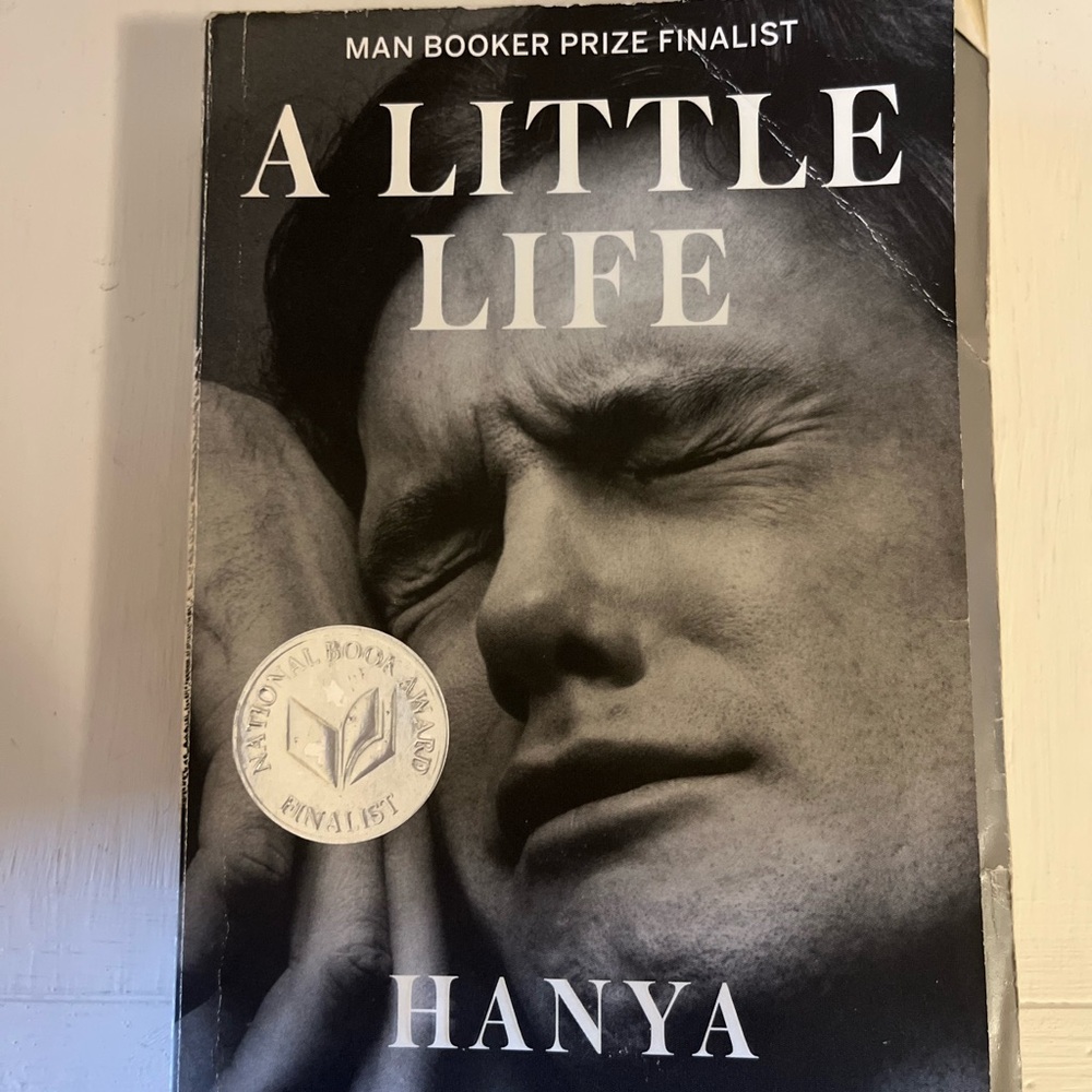 A Little Life Book